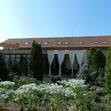 Anette Resort & Spa Covaci Exterior photo