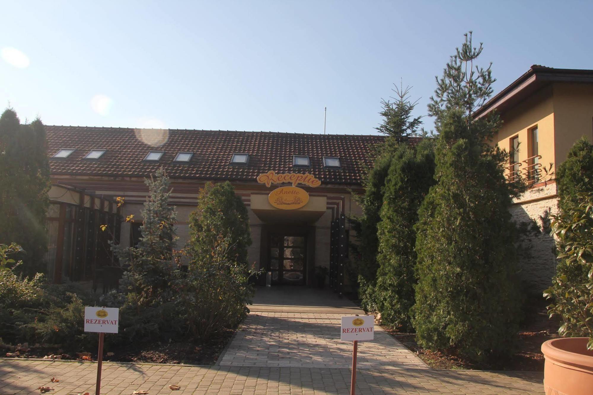 Anette Resort & Spa Covaci Exterior photo